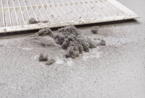 Best Air Duct Cleaning Near Me  in Leon, IA